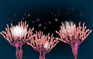 Tishk International University | Blogs